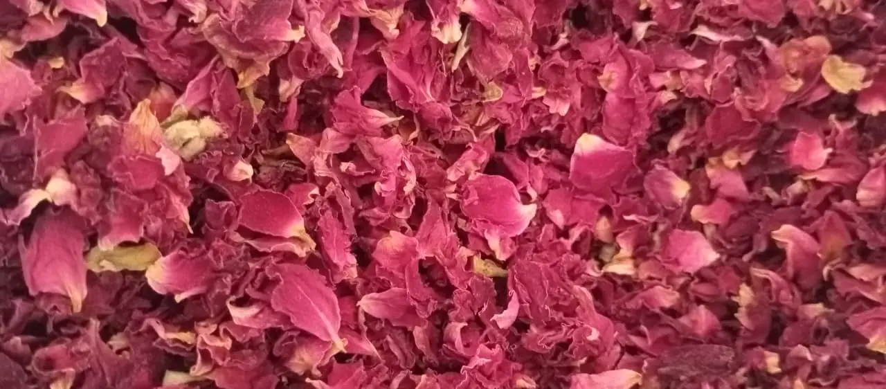  Premium Dried patels