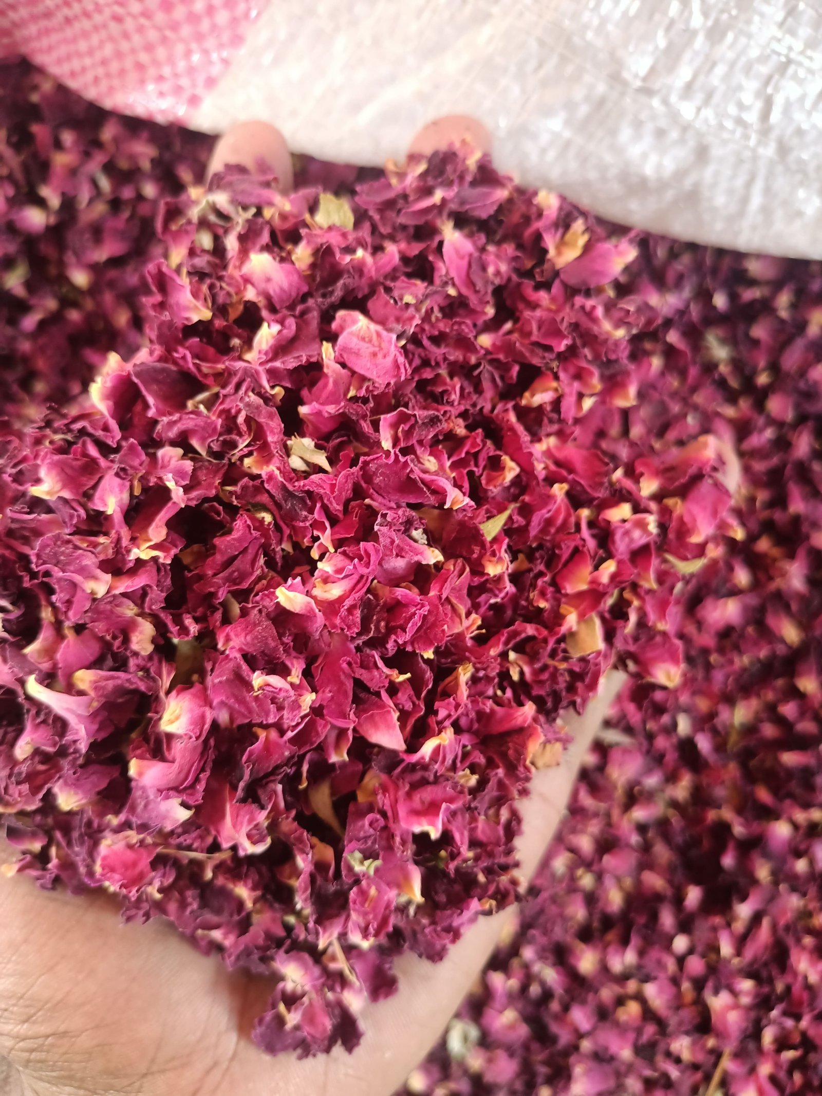 Quraysh Agro Farms | Dried Rose Petals Exporter in Pakistan