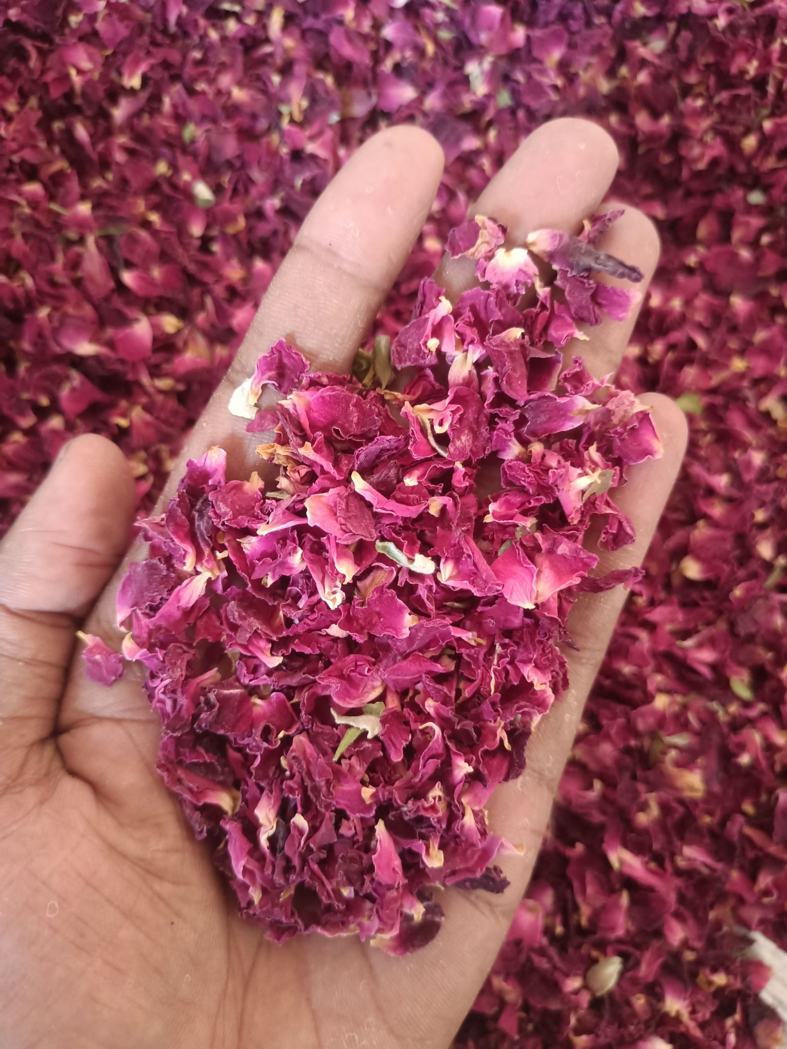 Dried Rose Petals Quality| The QAF Approach