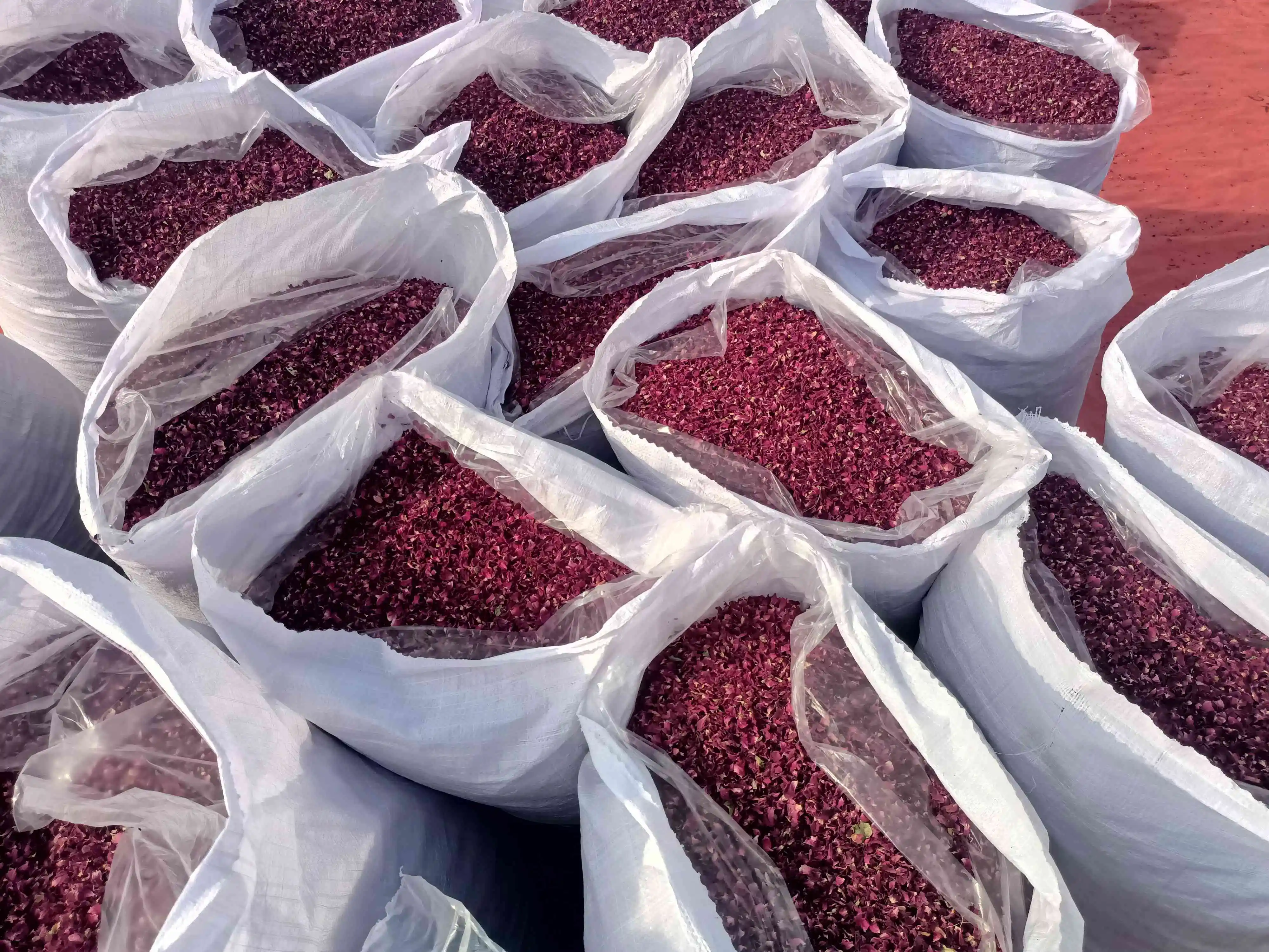 Export Packing