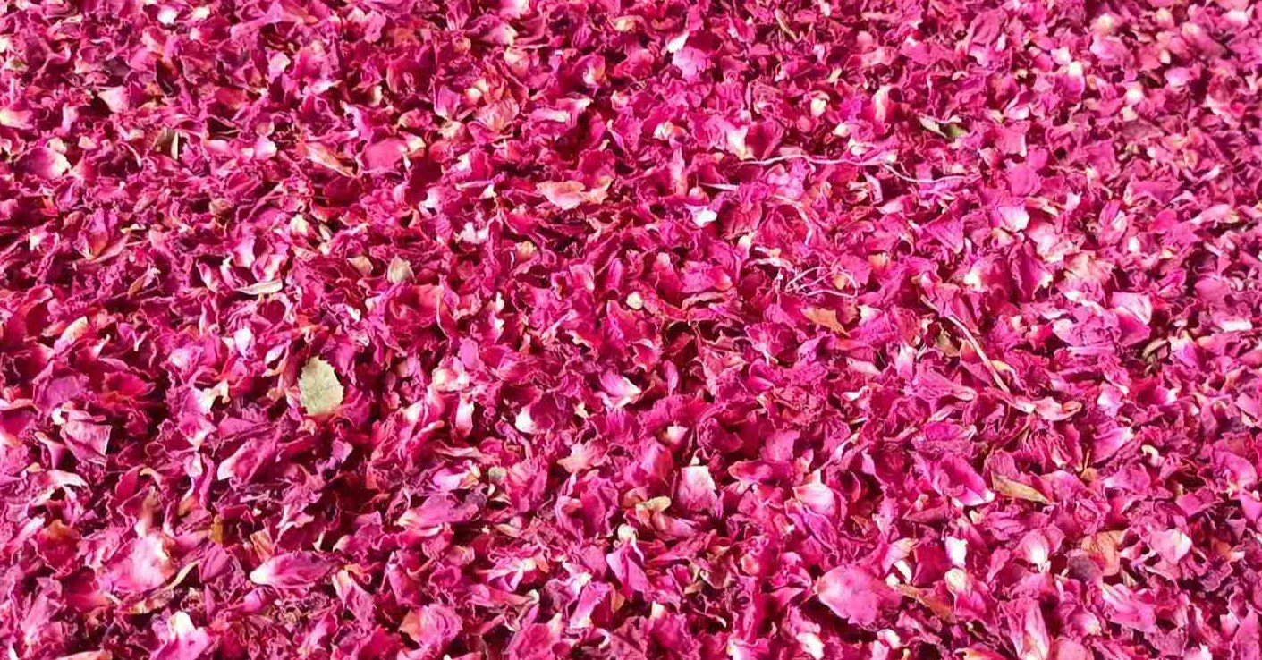 Dried patels